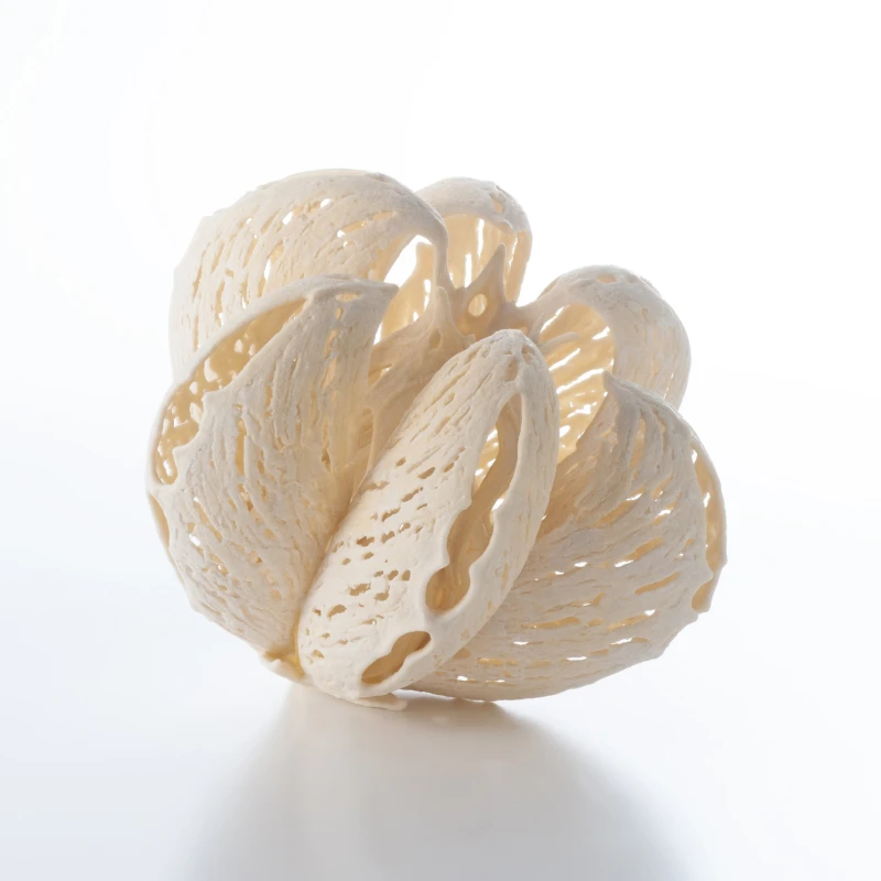 Gallery Hiiro 外観